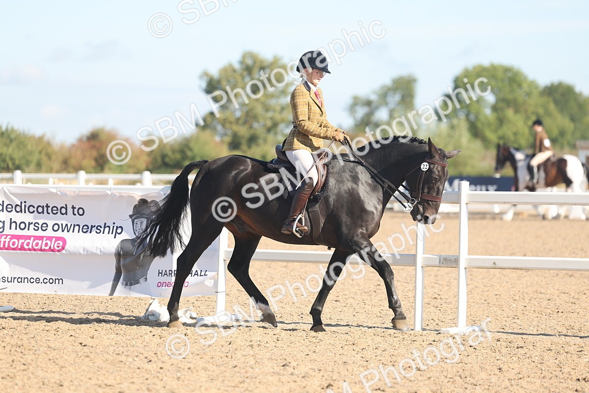SBM_12303 - Class 304 - Ridden part Bred Horse Pony