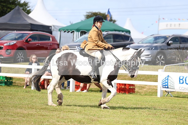 3E7A9685 - Class 5: Rising Star Lightweight/Heavyweight Cobs