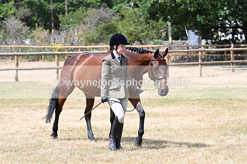 WJ7_1792 - Class 4a Prettiest Mare 14.2hh and over hand
