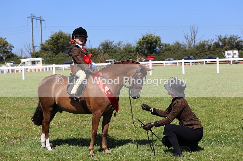 IMG_1850 - Plaited Mini Ridden Championship