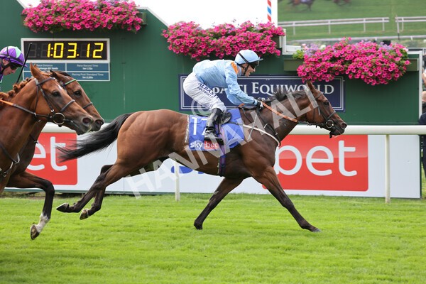 yr18082021r1-67 - Race 1 1.50pm Sky Bet & Symphony Group Stakes