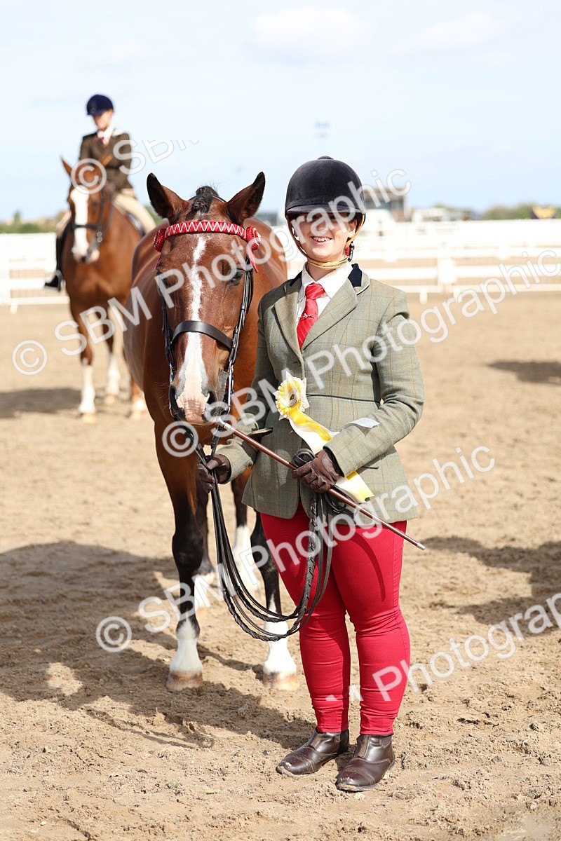 SBM_01938 - Class 18 - Handsomest Gelding - IH or Ridden