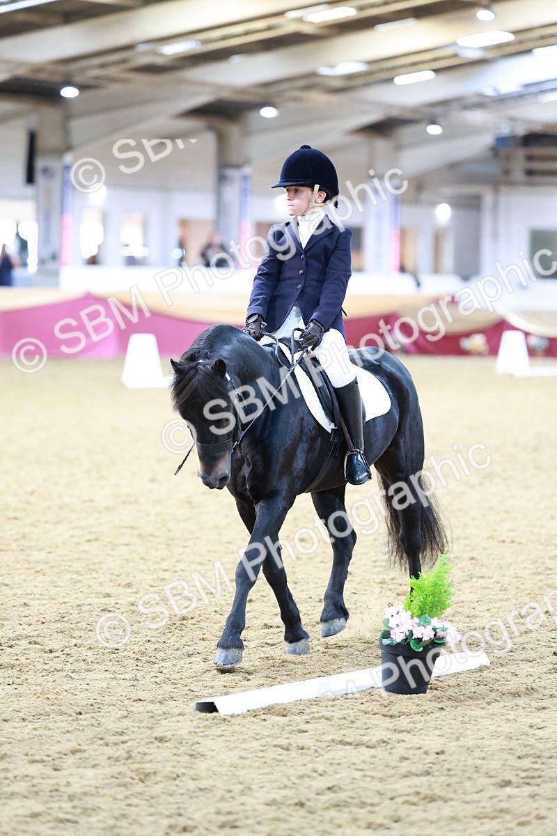 SBM_09203 - Class 61 - Dressage to Music