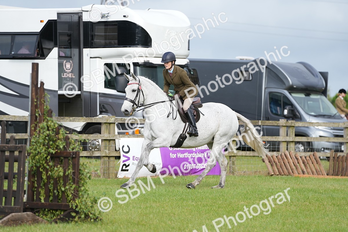 SBM_10593 - Class 97-98 - LIHS BSHA Rising Star Working Show Horse Hunter