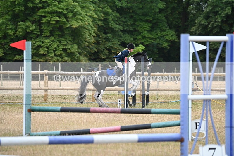 WJ6_9947 - Class 13 Novice Jumping 60cm