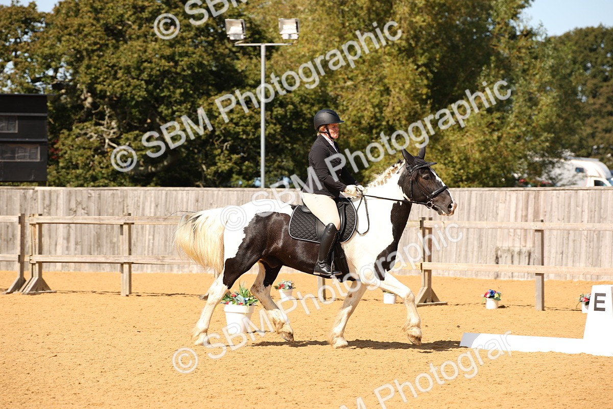 SBM_24122 - D5 - Small Tour Championship - Intro C