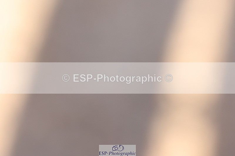 240714A-090808-01497 - Cls 1&2 128cm 10yrs & 70cm Open