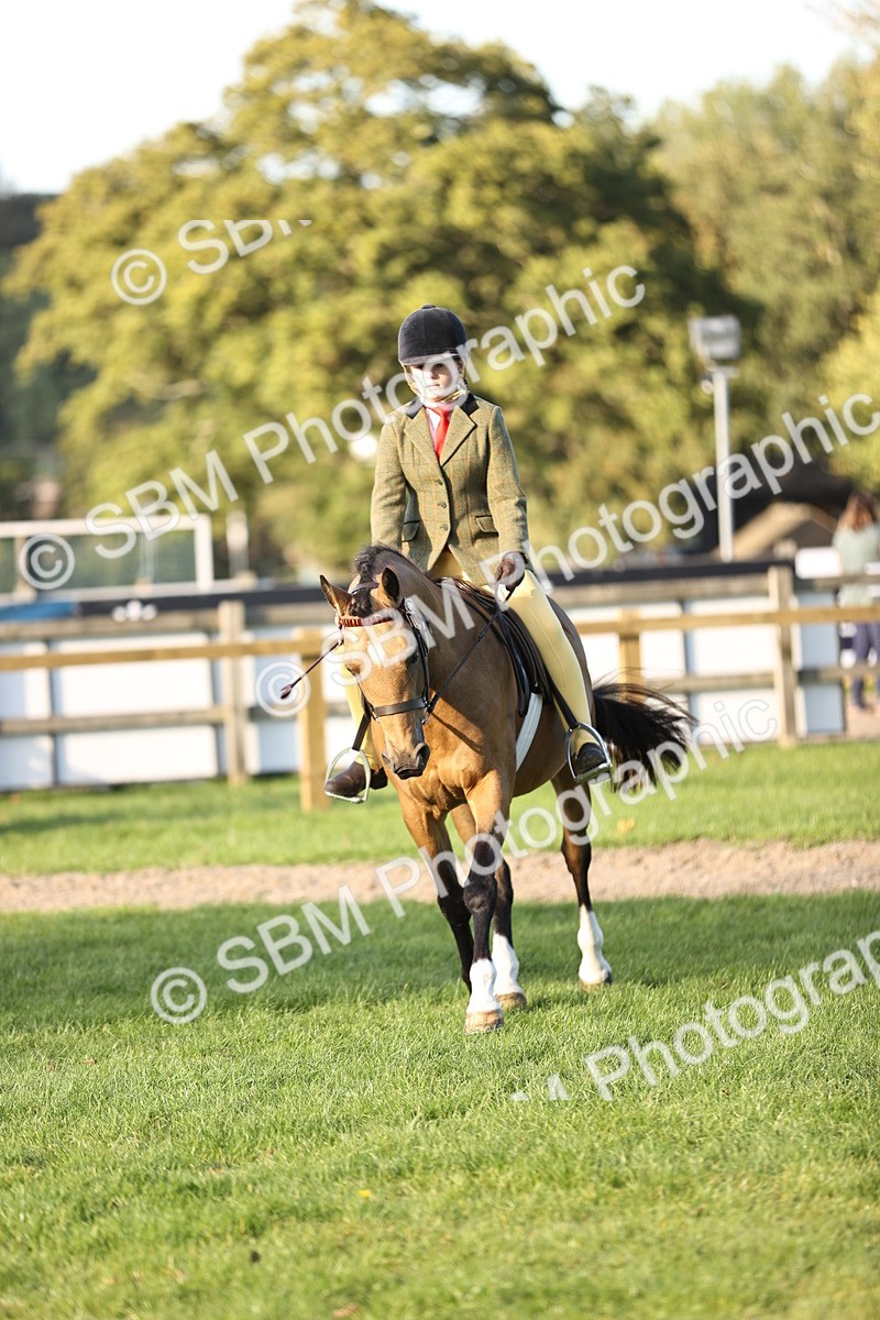 SBM_29584 - S7 - Novice & Newcomers Ridden Pony