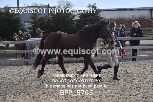 BPP_8765 - RING 2 - M&M