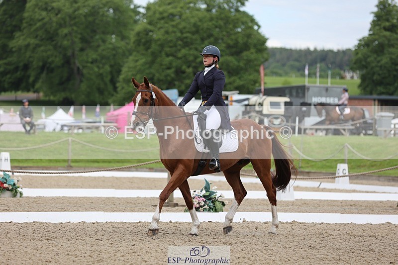 240524-090131-07033 - 251-MILESTONE_GOLD-Gaby_Bull