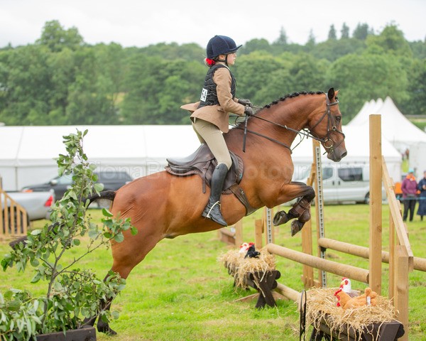 Dunblane show-324 - Dunblane and Doune Show Ring 1