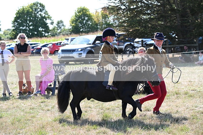 WJ6_7725 - Class 36 Lead Rein
