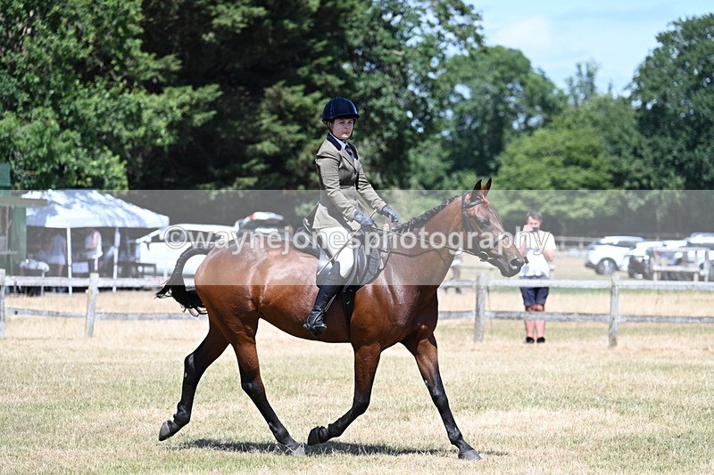 WJ7_3047 - Class 7 Riding Club Show Horse