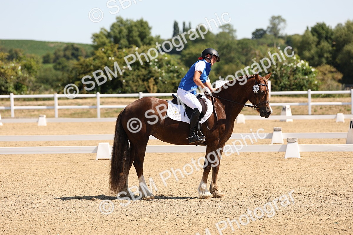 SBM_001133 - Intro 2