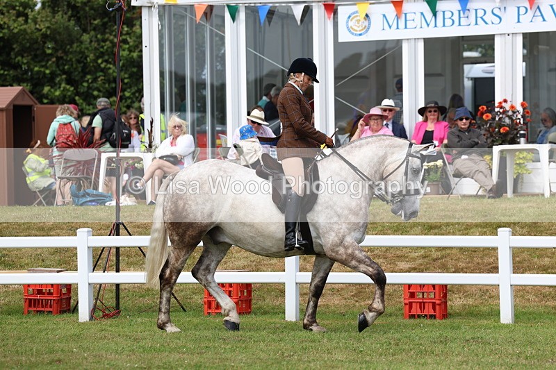 3E7A0267 - Class 6: Rising Star Maxi Cobs