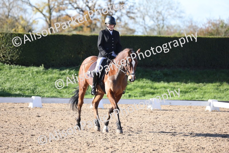 20251102-0896 - Class 5 - Elementary 5