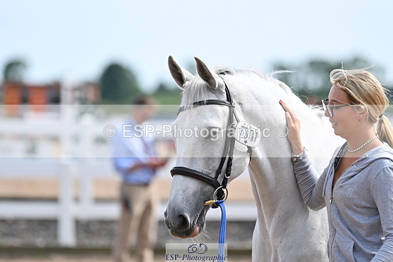 240717A-161527-03387 - Trot Up 4pm to 5pm