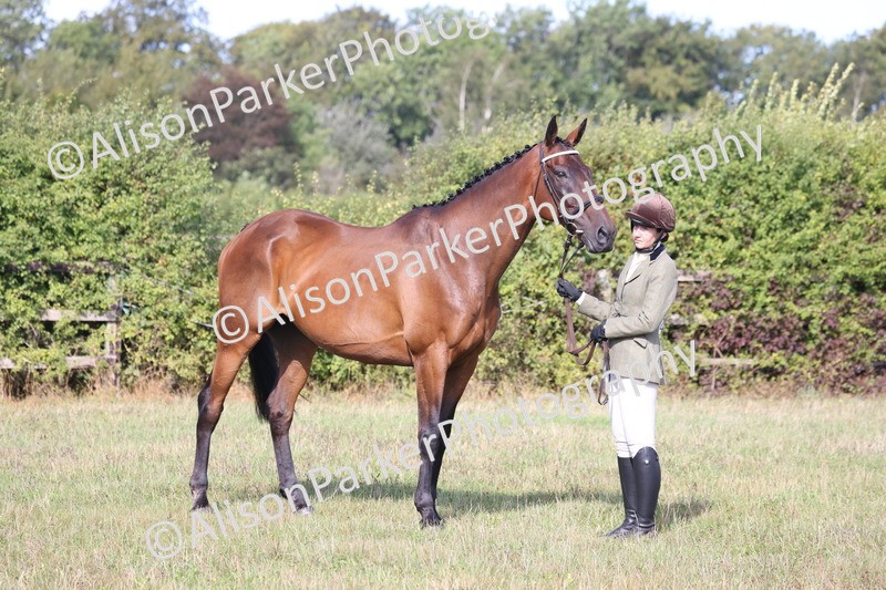 20260906-0680 - Class 22 - Ex Racehorse