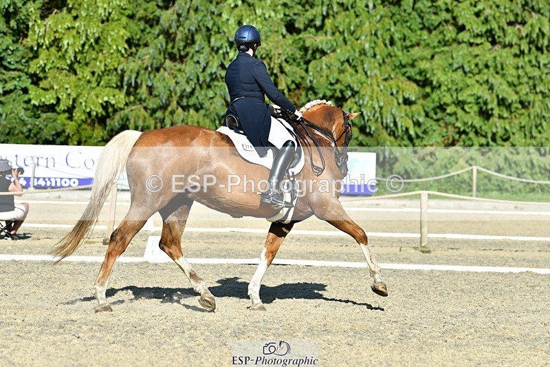 230623-181200-03185 - Cls 11 FEI PSG