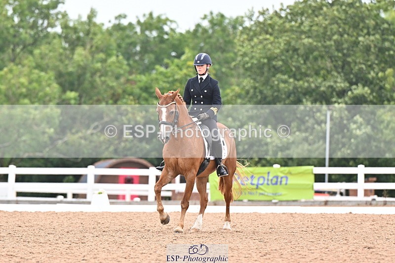 240815A-135829-01709 - 170-India.John-Grayswood.Orlando