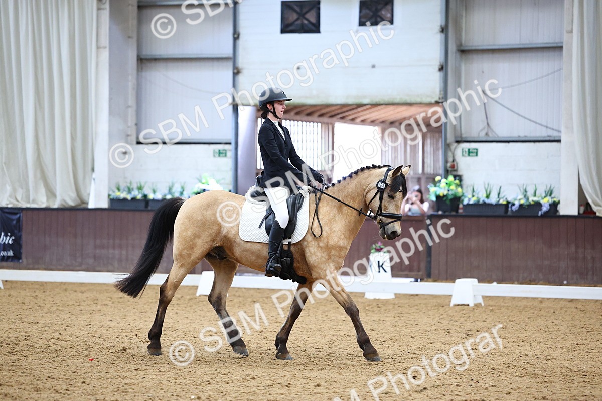 SBM_005421 - Elementary 2