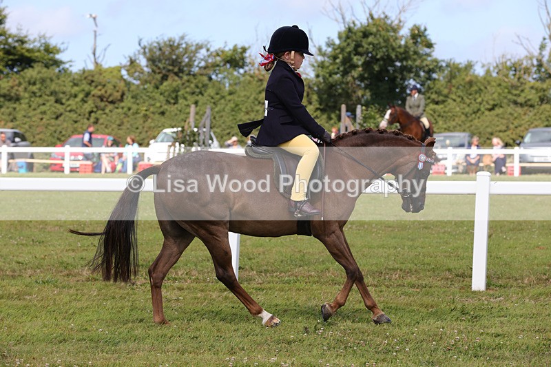 1X9A3768 - Class 30: First Ridden SP/SHP