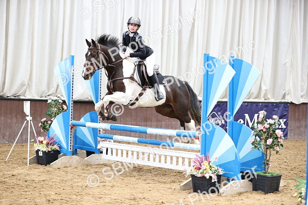 SBM_000296 - Class 2 - Pony British Novice - 80cm Open