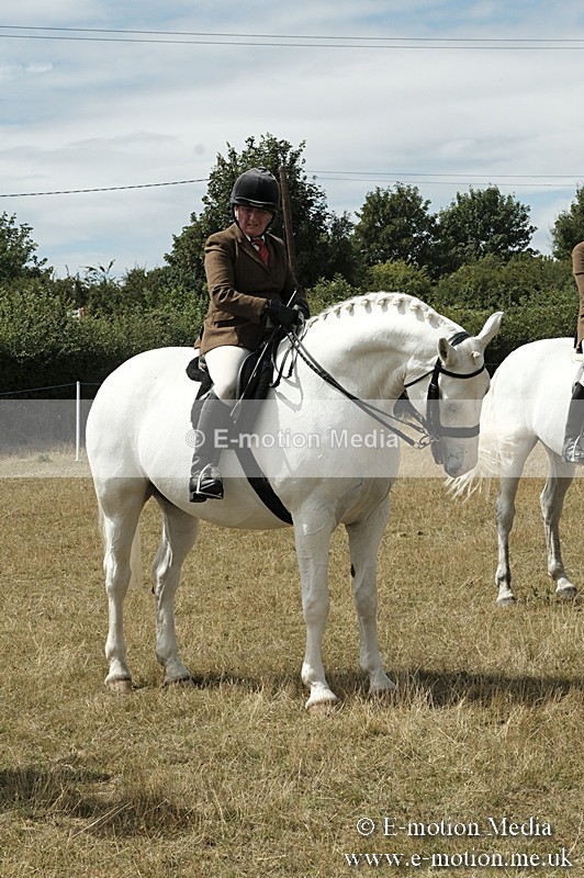 _PJP6033 - BVRC Show 2018 Ring 1