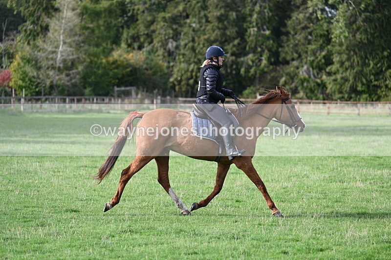 WJ7_1118 - Time 14:27 to 15:11