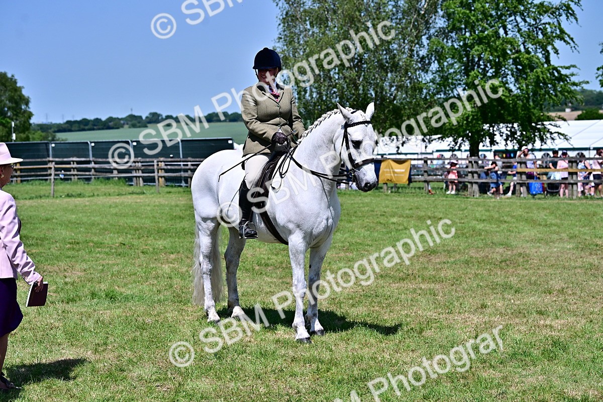 SBM_17479 - Class 95-97 - BSPS LHS Performance Ponies