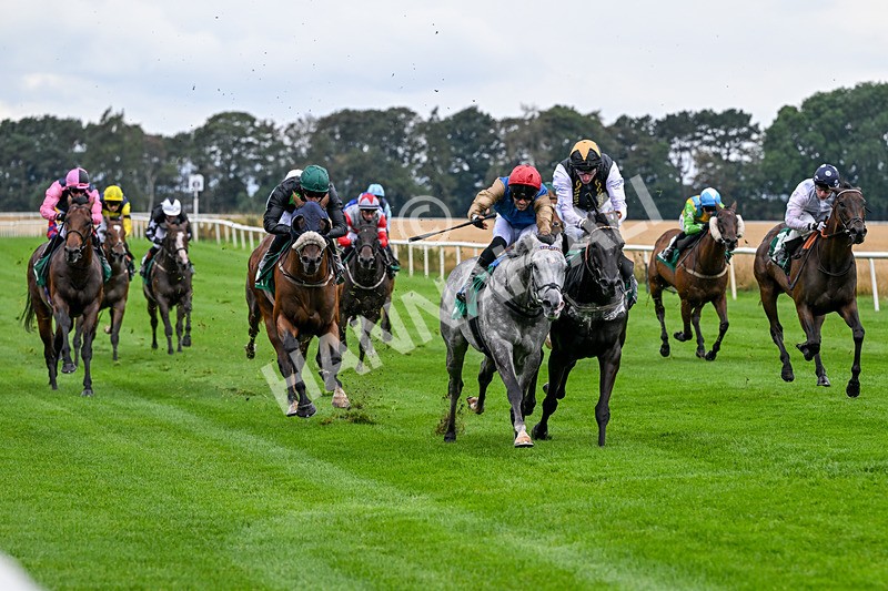280826-Race 4-Deep Havana-4497 - Race 4 4pm Ivegate Building Handicap