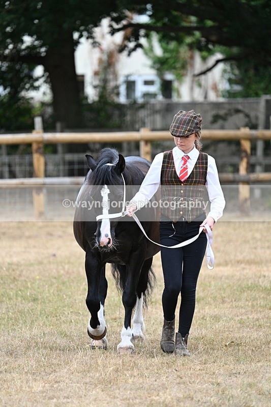 WJ7_8073 - Class 4 Prettiest Mare up to 14.2hh