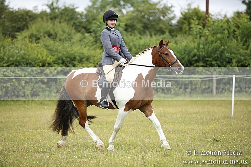 BVR160717-82 - Ring 1 BVRC Show 16/07/17