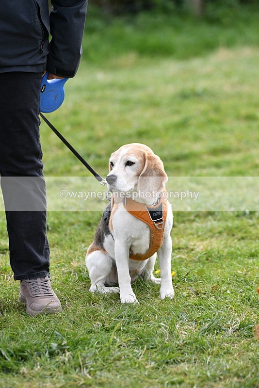 WJ5_0182 - Class 5 Best Veteran / 7 years & over