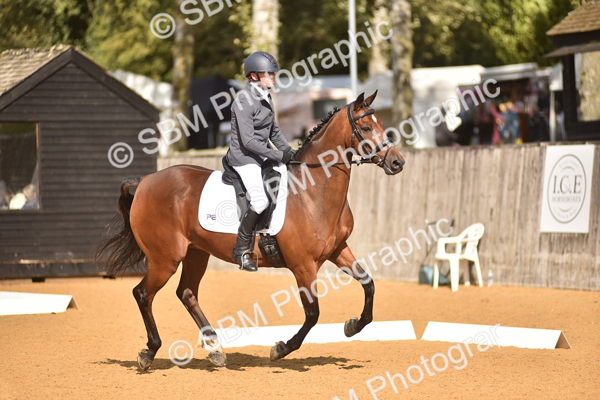 SBM_24212 - D4 - Small Tour Championship Intro 4