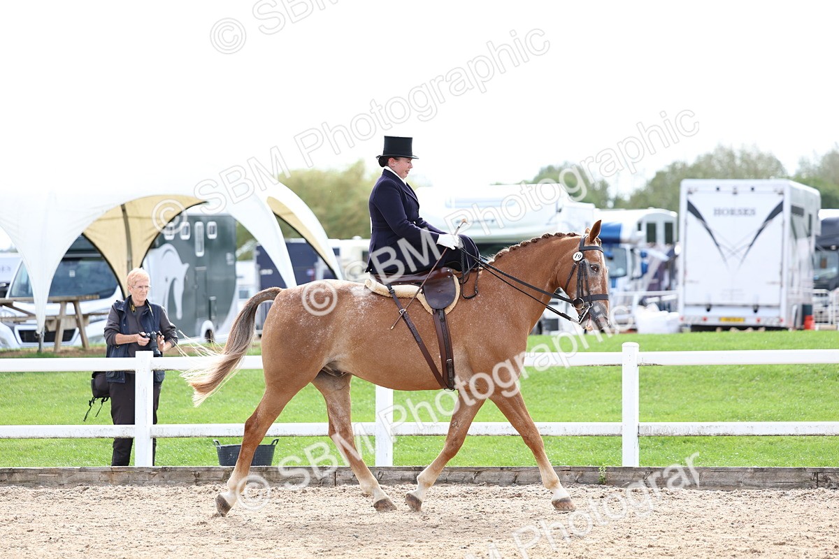 SBM_03302 - Class 23 - SSA Classical (any age)