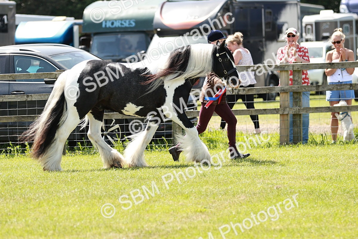 SBM_05549 - Class 41-45 - Riding Pony-Hunter Pony Breeding