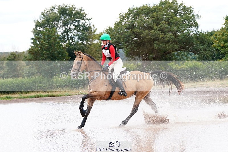 250802A-131210-04705 - A-036-Ottilie.de.Rouet-SILVERSPRINGS.CHATTERBOX