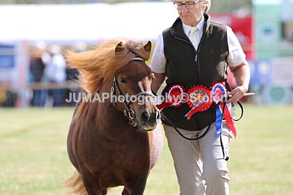 SIAL5232 - overall champion