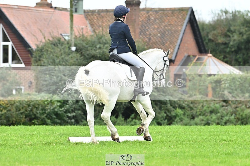 241024-121845-02697 - 324-Helena.Pope-ROSSALOUGHA.TED