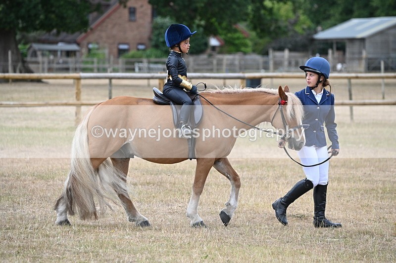 WJ6_8817 - Class 11 Fancy Dress