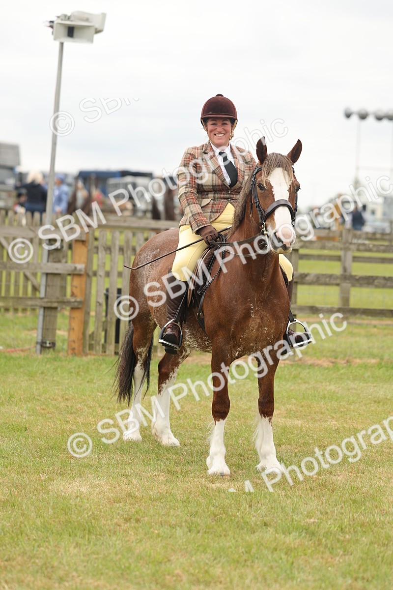SBM_07234 - Class 76-77 - Ridden M&M Welsh Ponies