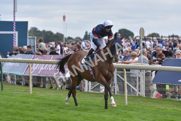 yr17082022r4-59 - Race 4 3.35pm Juddmonte International Stakes (British Champions Series Race)