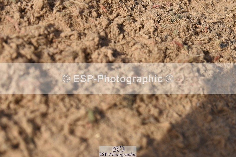 230906A-100036-00008 - British Novice & 90cm Open