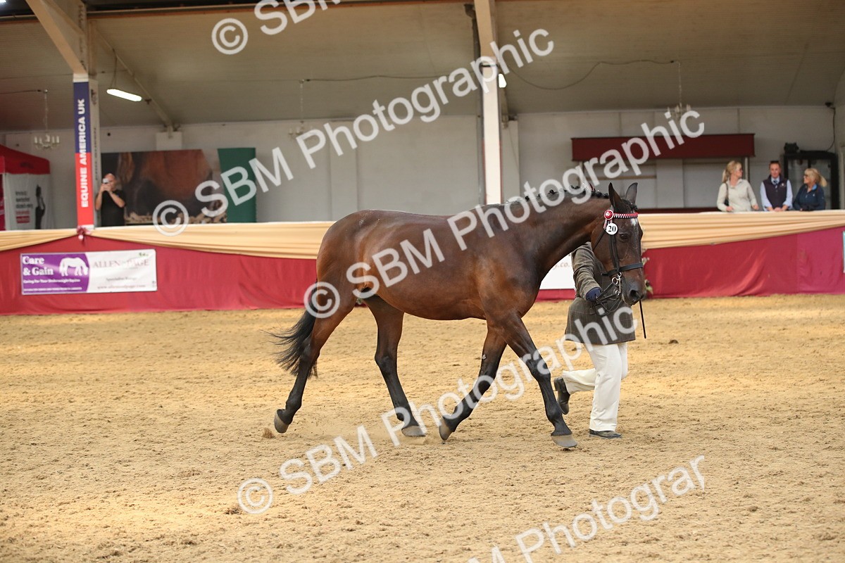 SBM_05317 - Class 8R - Regional IH Veteran