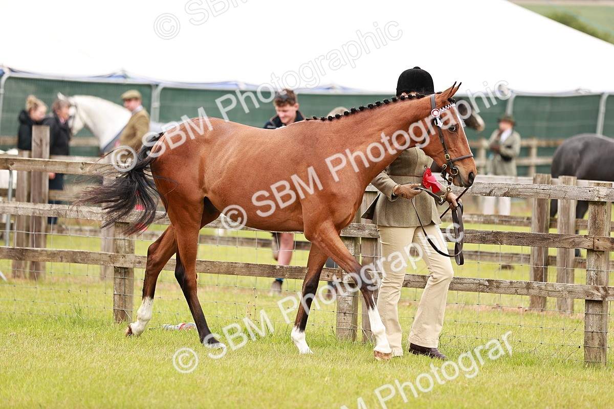 SBM_01722 - Class 31-34 Hack Breeding