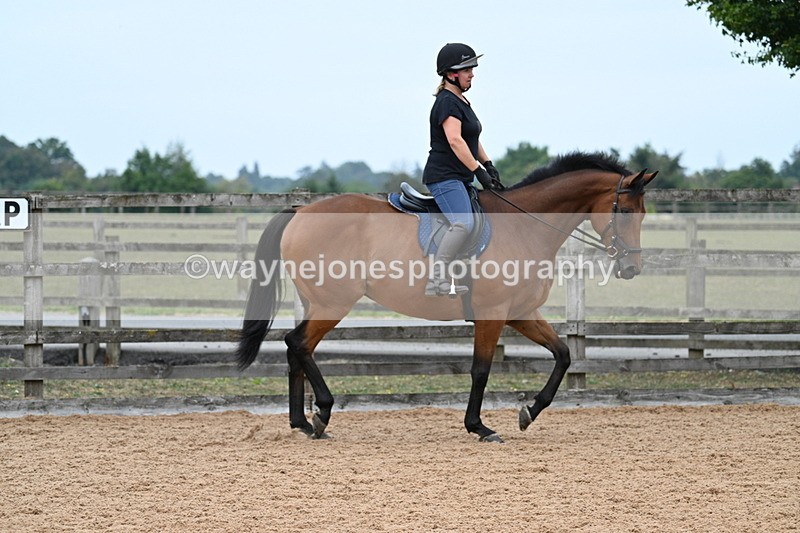 WJ7_8253 - Poles 11:00am