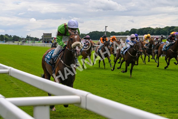 140624-Race 1-Tolstoy-3732 - Race 1 1.50pm Andy Thornton Hospitality Furniture Apprentice Handicap