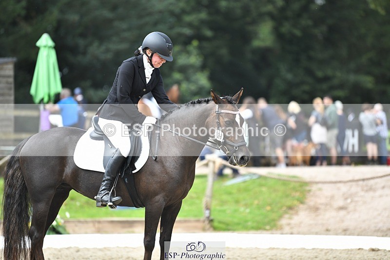 230812-121801-04083 - Cls 6 Novice Silver 12.10 to End
