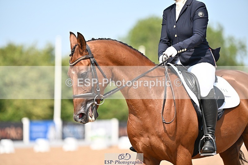 250816-125302-04361 - 103-LOOBY.CHUBBJ.Force